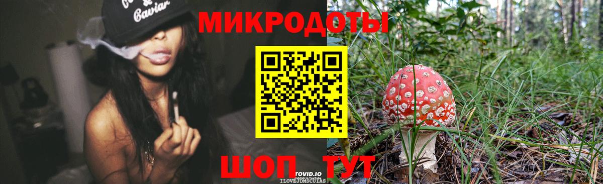 Россия  сколько стоит  Вход с VPN  Галлюциногенные грибы Psilocybe 